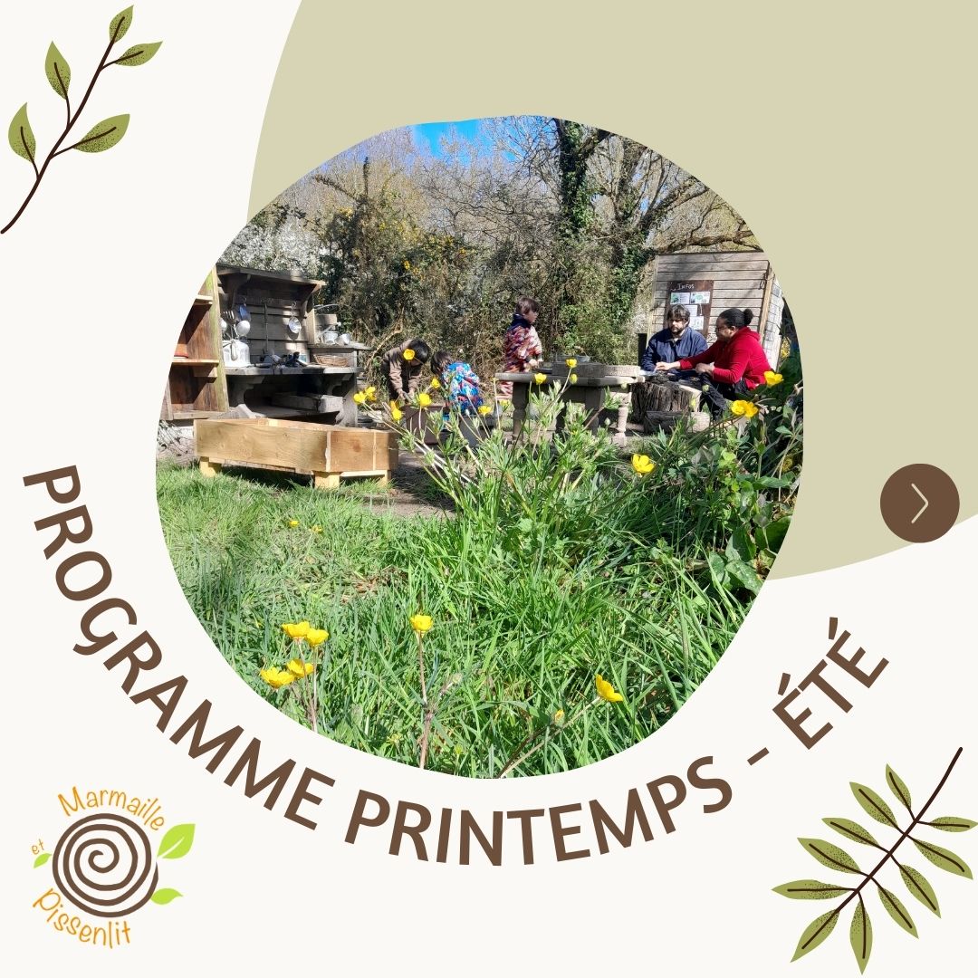 PROGRAMME MARMAILLE ET PISSENLIT